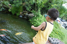 Load image into Gallery viewer, My Yellow Koi