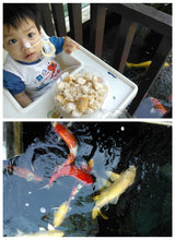 Load image into Gallery viewer, My Yellow Koi
